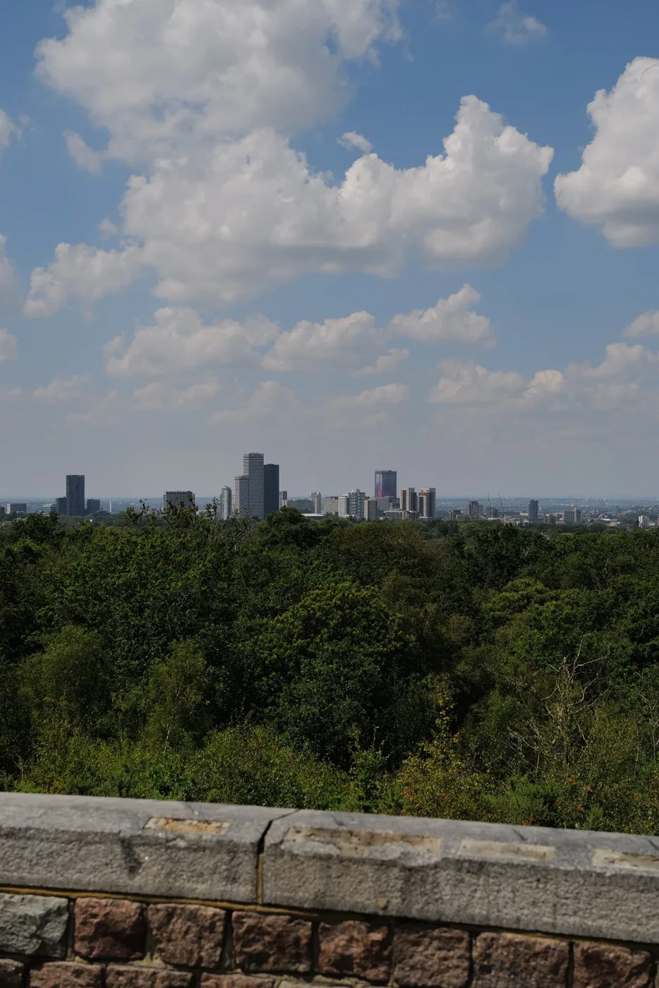 Tower blocks on the skyline beyond a stretch of woodland, seen over a stone wall