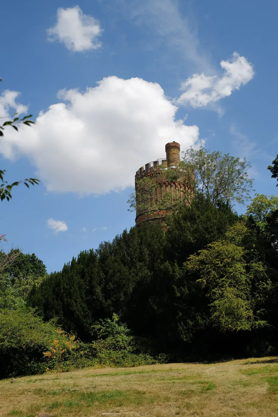 A round brick tower rising above a stand of trees