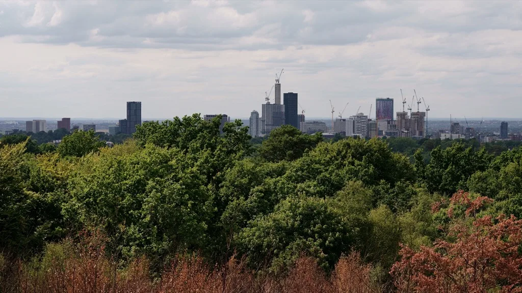 The view from Addington Hills, across Croydon towards central London